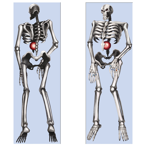Брелок дакімакура Overlord 04 атлас 4х12см - фото 1 Брелок дакімакура Overlord 04 атлас 4х12см - фото 1