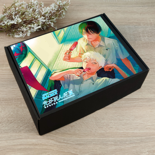 Коробка премиум Hikaru ga Shinda Natsu 01 с наклейкой 31х23х10см - фото 1
