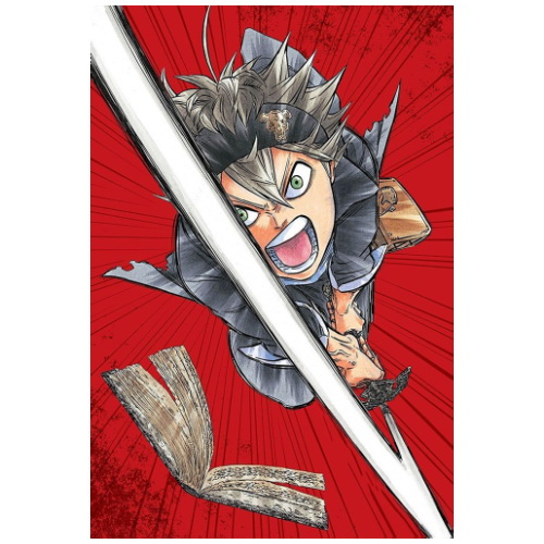 Магнит А7 Black Clover 03 винил - фото 1